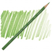 Твердый карандаш Prismacolor Apple Green 738.5