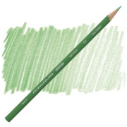 Твердый карандаш Prismacolor True Green 751